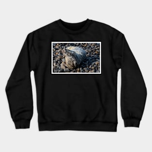 Seal Crewneck Sweatshirt